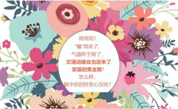 毕业干什么？ 智能化交通走起！