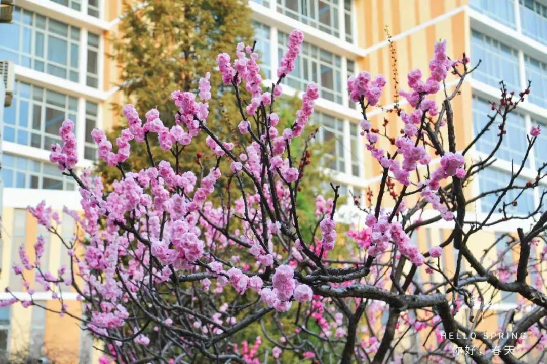 北交院自主招生 | 确认过眼神，这就是我想要的大学！