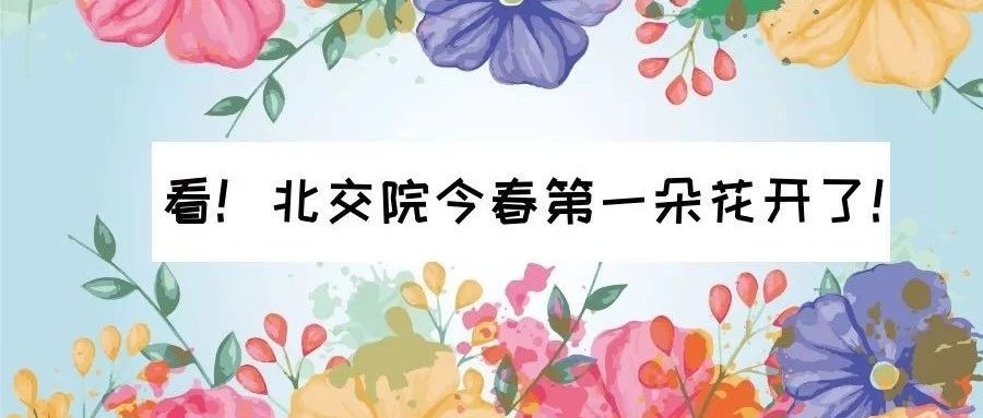 走～集合！我带你们去WilliamHill中文官方网站看校花！