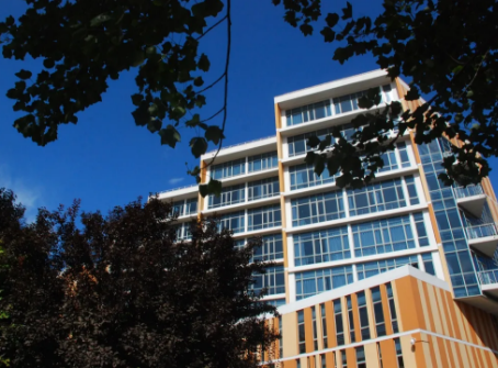 @北京中考生，北交院周末云上招生咨询会拍了拍你！