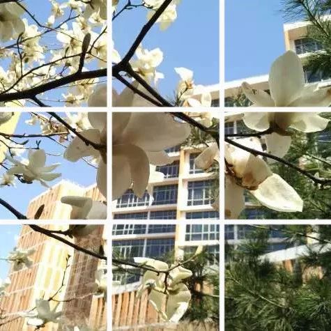 @北交院小伙伴，一起来拼图！用九宫格拼出北交院的美