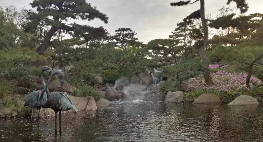 【魅力映像】通州校区团委组织开展 《罗红摄影艺术馆》参观实践学习活动