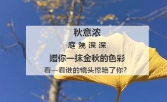 【交院印象】今秋遇见，最美不过你的容颜