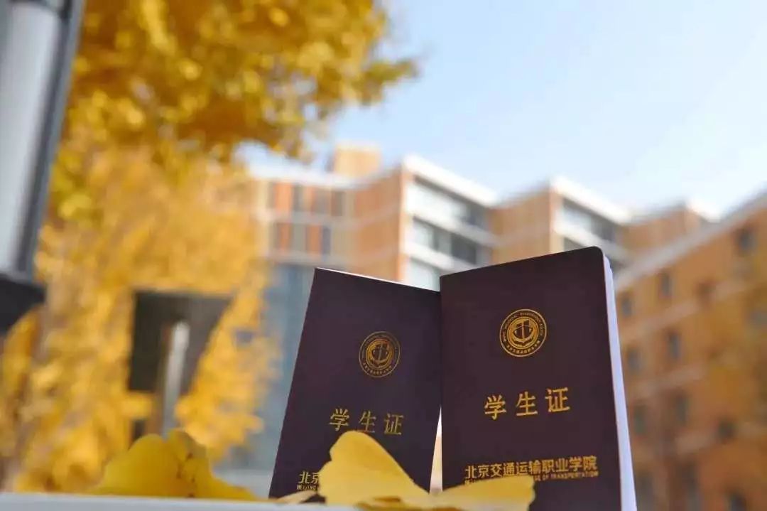 纸短情长 | 相遇的365天，细数你与北交院的独家记忆